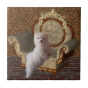 Witte Maltese puppy en stoelgang Tegeltje