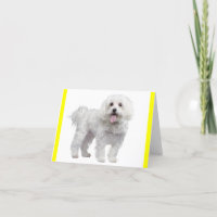 Witte Maltese puppy hond Blank Yellow Notecard