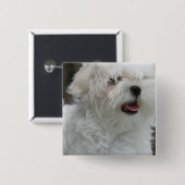 Witte Maltese puppy Square Pin Vierkante Button 5,1 Cm (Voorkant /achterkant)