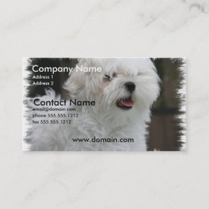 Witte Maltese Visitekaartje van Puppy Dog