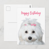 Witte Malteseer Tedere Zoetheid Briefkaart (Voorkant / Achterkant)