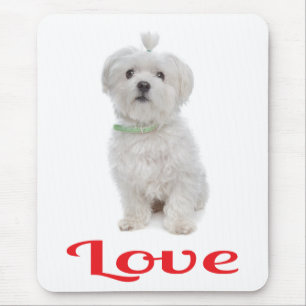Witte Maltezer Puppy Hond Muismat