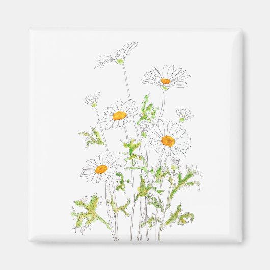 witte Margaret daisy inkt en waterverf Magneet (Voorkant)