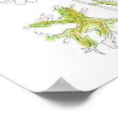 witte Margaret daisy inkt en waterverf Poster (Hoek)