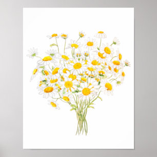 witte Margaret daisy waterverf en inktbouquet Poster