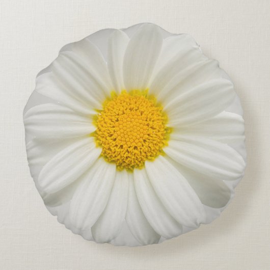 Witte Marguerite Madelief Chrysanthemum Ronde Kuss Rond Kussen (Achterkant)