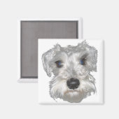 Witte miniatuur Schnauzer magneet (Voorkant / Achterkant)