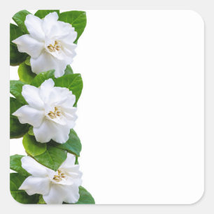 Witte mooie tuinbloemen op wit vierkante sticker