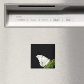 Witte Morpho-vlinder op blad Magneet (Insitu (Vaatwasser))