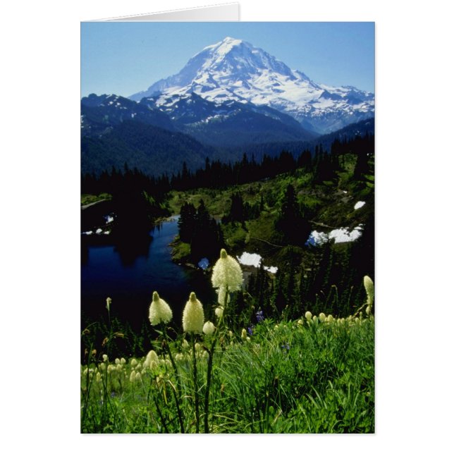 Witte Mt. Rainier-bloemen (Voorkant)