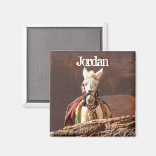 Witte Muilezel, Petra Jordanië Magneet