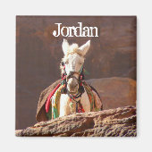 Witte Muilezel, Petra Jordanië Magneet (Voorkant)