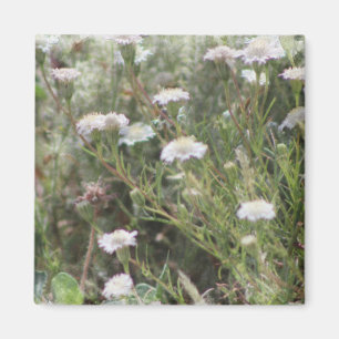 Witte Naaldkussen Wilde Bloemen Digitale Waterverf Magneet