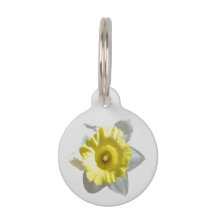 Witte Narcis Identificatietag