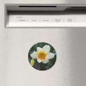 witte narcis schijnend magneet (Insitu (Vaatwasser))