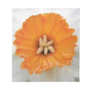 Witte Narcissen Notitieblok