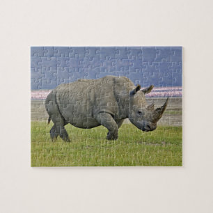 Witte Neushoorn en verre Pinke Flamingo's, Legpuzzel