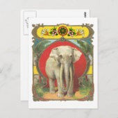 Witte olifant briefkaart (Voorkant / Achterkant)