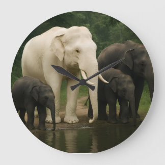 Witte olifant met familie grote klok
