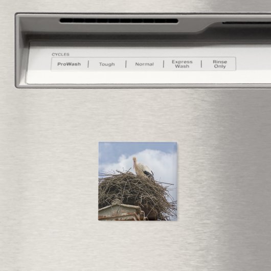 witte ooievaar in het nest magneet (Insitu (Vaatwasser))