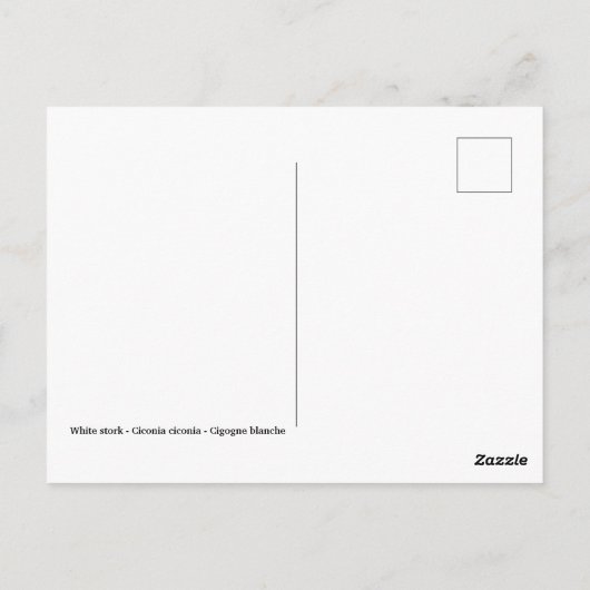 Witte ooievaar op gras briefkaart (Achterkant)