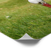 Witte ooievaar op gras poster (Hoek)