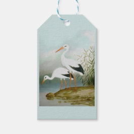 Witte ooievaar, vogelillustraties cadeaulabel