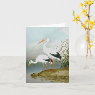 Witte ooievaar, vogelillustraties kaart