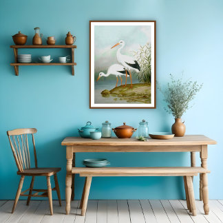 Witte ooievaar, vogelillustraties poster