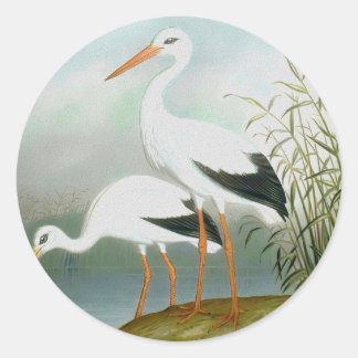 Witte ooievaar, vogelillustraties ronde sticker