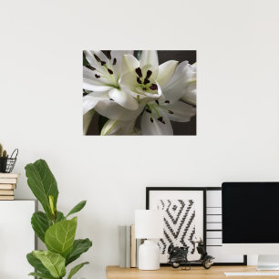 Witte oosterse lelie bloemen poster
