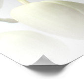 Witte orchidedruk poster (Hoek)