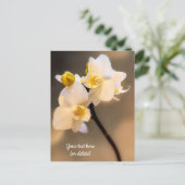 Witte Orchidee Ansichtkaart Briefkaart (Staand voorkant)