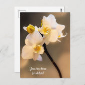 Witte Orchidee Ansichtkaart Briefkaart (Voorkant / Achterkant)