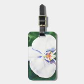 Witte Orchidee Bagagelabel (Voorkant verticaal)