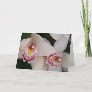 Witte orchidee blanco kaart