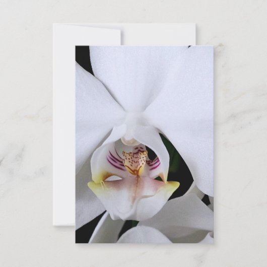 Witte orchidee bloem bedankkaart (Voorkant)
