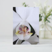 Witte orchidee bloem bedankkaart (Staand voorkant)