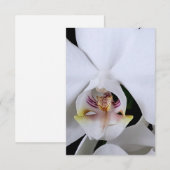 Witte orchidee bloem bedankkaart (Voorkant / Achterkant)