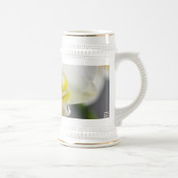 Witte Orchidee Bloem