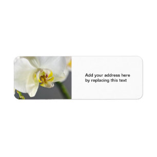 Witte Orchidee Bloem Etiket