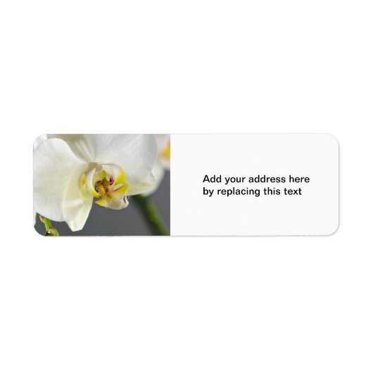 Witte Orchidee Bloem Etiket (Voorkant)