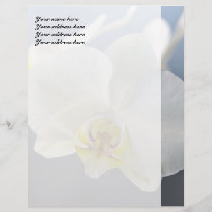 Witte Orchidee Bloem Gepersonaliseerd Briefhoofd