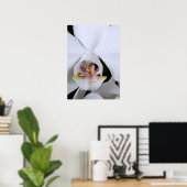 Witte orchidee bloem poster (Thuiskantoor)