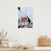 Witte orchidee bloem poster (Keuken)