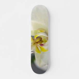 Witte Orchidee Bloem Skateboard
