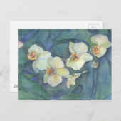 Witte orchidee briefkaart (Voorkant / Achterkant)