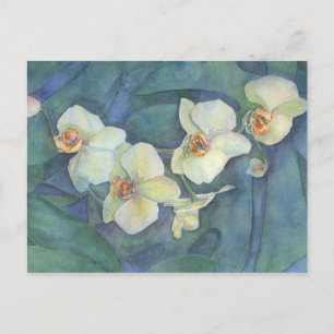Witte orchidee briefkaart