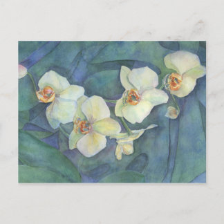 Witte orchidee briefkaart