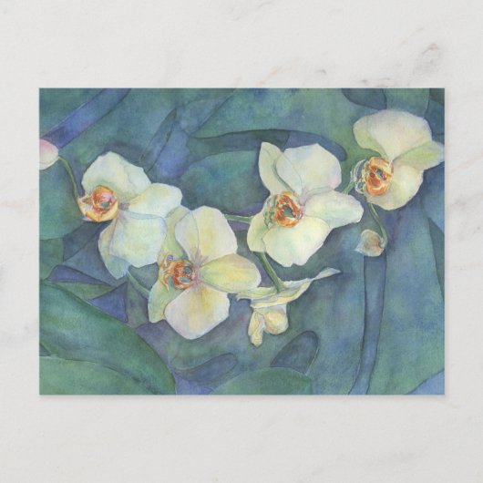 Witte orchidee briefkaart (Voorkant)